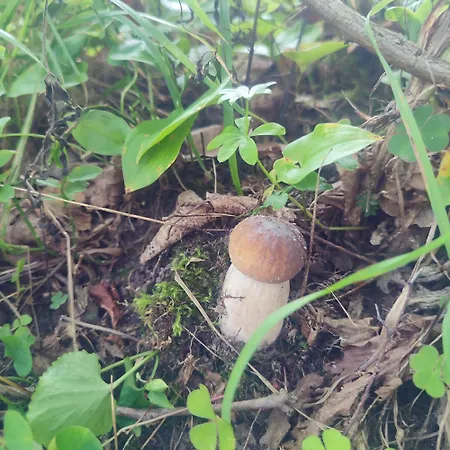 Na Skarpie Nr 2 Holiday home