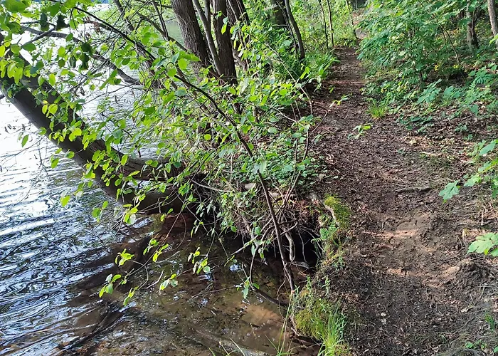 Na Skarpie Nr 2 łutynowo Dom wakacyjny *